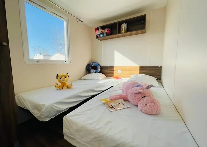 Zecamping 3 Animaux Acceptes Avec Piscine Chauffee A Guerande 3*